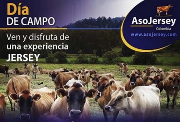 Luego de una agitada semana que incluyó la Exponovillas Jersey, la asociación cierra el mes con un remate de ganado y un día de campo en la Hacienda Albania y Lácteos Jersey. Foto: Asojersey Día de Campo Asojersey, Día de Campo Asojersey 2019, Primer Día de Campo Asojersey marzo 2019, hacienda Albania, Lácteos Jersey, proyectos Asojersey, actividades Asojersey 2018, Fedegán Asojersey 2019, TVGAN Alianza Asojersey 27 marzo 2019, TVGAN Alianza Asojersey, eventos TVGAN 2019, TVGAN 2019, Asojersey 2019, Asociación Colombia Jersey, Asociación Colombia jersey 2019, comprar ganado Jersey, Venta de ganado, venta de bovinos, CONtexto ganadero, ganaderos colombia, noticias ganaderas colombia