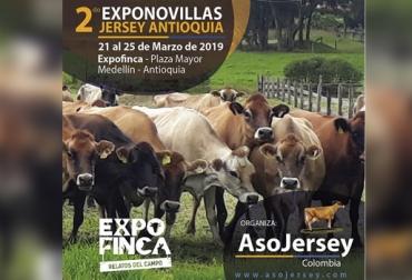 La segunda versión de Exponovillas Jersey se realizará en el marco de Expofinca en el centro Plaza Mayor de Medellín. Foto: IG Asojersey Colombia 2 Exponovillas Jersey Antioquia 2019, 2 Exponovillas Jersey Antioquia, Exponovillas Asojersey 2019, Asojersey 2019, actividades Asojersey 2019, junta directiva Asojersey, Asamblea Asojersey 2019, registro ganado Jersey puro, proyectos Asojersey, proyectos Asojersey 2019, tarde académica Asojersey, Exponovillas Jersey, ganado Jersey Colombia, Fedegán Asojersey 2019, presidente Asojersey 2019, CONtexto ganadero, ganaderos colombia, noticias ganaderas colombia