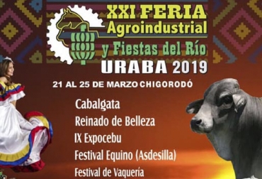 Estas son las actividades de la XXI Feria Agroindustrial y Fiestas del Río Urabá 2019. Foto: Cortesía XXI Feria Agroindustrial y Fiestas del Río Urabá 2019, IX Expocebú Urabá, Juzgamiento Brahman, Juzgamiento Gyr, competencias ganado cebú, juzgamientos de ganado Colombia, feria ganadera colombia, fiestas del río Urabá 2019, Feria Agroindustrial Urabá, Feria Ganadera, CONtexto ganadero, ganaderos colombia, noticias ganaderas colombia