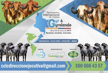 No se pierda el 1er Encuentro Internacional de criadores Gyr y Gyrolando en Montería. Foto: @comitecclc Ganadería, ganadería colombia, noticias ganadera colombia, CONtexto ganadero, evento, Gyr, Gyrolando, ganadero, juzgamiento, ganado, vacas, raza, concurso, córdoba, Montería, departamento cordoba, Brasil, méxico, Costa Rica, Ecuador, Colombia, Bolivia, conferencistas, ganaderos, ganaderos colombia