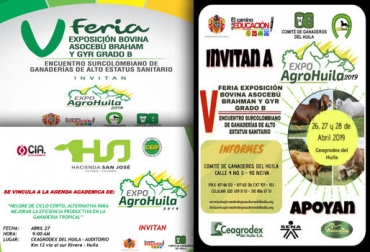 Concurso lechero, juzgamiento y conferencias es lo nuevo de la V versión de Expo Agro Huila 2019. Foto: cortesia ganadería, ganadería colombia, noticias ganadera colombia, contexto ganadero, evento, gyr, brahman, ganadero, juzgamiento, ganado, vacas, raza, concurso lechero, huila, departamento huila, sur del pais, gobernación huila, conferencistas, nelore, ganaderos, ganaderos Colombia