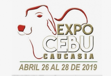 Expocebú Caucasia en su segunda edición trae concurso y juzgamiento de leche para los visitantes. Foto: @expocebucaucasia ganadería, ganadería colombia, noticias ganadera colombia, contexto ganadero, evento, gyr, brahman, ganadero, juzgamiento, ganado, vacas, raza, F1, asocebu, cebu, asocauca, Caucasia, baby show, fundación fomento ganadero, ganaderos, ganaderos Colombia