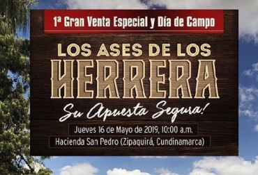 Este evento contará con vacas Holstein provenientes de Agropecuaria Chuco, que ha tenido 4 vacas clasificadas Excelente 95 y una Excelente 96. Foto: Cortesía Los ases de los Herrera, Holstein Colombia, Girolando Colombia, Gyrolando Colombia, Venta de ganado, remate de ganado, venta de ganado Holstein, Holstein rojo, Holstein blanco, Agropecuaria Chuco, Hacienda San Pedro, Zipaquirá, Girolando Plus, girolando puro, cruces, cruces bovinos, gyr x holstein, Girolando, ganadería colombia, CONtexto ganadero, ganaderos colombia, noticias ganaderas colombia