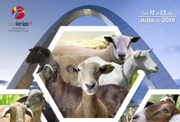 Este evento contará con expertos nacionales e internacionales con el fin de mejorar el sector ovino-caprino del país. Foto: Cortesia Congreso Internacional, ovinos, caprinos, ganaderos, ganadería, foro nacional, conferencistas, internacionales, nacionales, países, Reino Unido, Brasil, Uruguay, Perú, México, Estados Unidos,Colombia, agroexpo, experiencias, médicos, veterinarios, sector, objetivo, perspectivas, cordero, pertinencia, producción, cantidad, calidad, CONtexto ganadero, ganaderos Colombia, noticias ganaderas Colombia