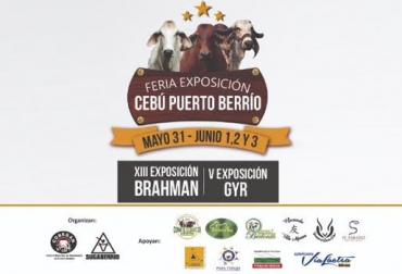A partir del 30 de mayo se llevará a cabo en Puerto Berrio la Feria Exposición Cebú en Sugaberrio. Foto: Cortesía Ganadería, ganadería colombia, noticias ganadera colombia, CONtexto ganadero, evento, razas ganado, razas bovina, concursos, ganadero, juzgamiento, exhibiciones de razas, exposiciones, sector ganadero, raza brahman, raza gyr, evento ganadero puerto berrio, Antioquia, Magdalena Medio, vacas, ganaderos, ganaderos colombia