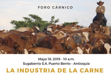 Es de gran importancia que todo los actores se unan para trabajar por un bien común y obtener un buen desarrollo del mercado ganadero. Foto: Cortesia temas, interesantes, proyecto, desarrollando, Colombia, Magdalena Medio, zonas, pequeños productores, ganaderos, Ganadería, créditos a toda maáquina, Foro, gratís, inseminaciones, impactar, clúster cárnico, Comité, sistema de pujas, precios, nivel nacional, regiones, cebador, criador, ceba, poco personal, costos adicionales CONtexto ganadero, ganaderos colombia, noticias ganaderas colombia