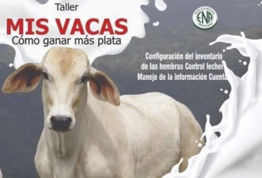 Mis Vacas es un taller en el que se le enseñará a los ganaderos a cómo ganar más plata. Foto: Cortesía ganaderia, ganaderia colombiana, ganaderia colombia, contexto ganadero, noticias ganaderas, eventos ganaderos, mis vacas, evento mis vacas, asocebú, analac, escuela de negocios agropecuarios, ganaderia rentable, ganaderia sostenible, ganaderia leche, negocio rentable, ganar plata ganaderia, ganaderos colombia, ganaderos colombianos, hotel dann norte