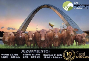 La asociación Beefmaster cumple 10 años de estar en el mercado colombiano.Foto: Cortesia Beefmaster, primera, década, asociación, últimos, dos, años, realmente, forma, acelerada, ganaderos, están, conociendo, raza, viendo, realmente, hecha, trópico, además, ven, porcentajes, rusticidad, productividad, socios, animales, producción, reproducción, , CONtexto ganadero, ganaderos Colombia, noticias ganaderas Colombia
