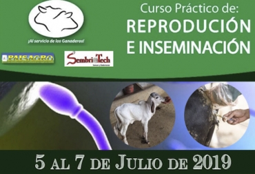El curso permitirá que todas las personas puedan llevar lo teórico a lo práctico. Foto: Cortesia reproducción, Inseminación, PISTOLA, semen, curso, PRATICIPANTES, Cañaveral, Pereira, Risaralda, Colombia, región, inseminación artificial, ganaderos, ganado, desempeño en el hato, formación integral, CONtexto ganadero, ganaderos colombia, noticias ganaderas colombia