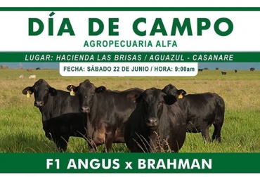 El objetivo de este encuentro es que conozcan el sistema productivo y las bondades del cruce de las razas Angus y Brahman. Foto: Cortesia. Día de campo, Agropecuaría Alfa, F1, Angus, Brahman, eficiencia, trabajo, Hacienda Las Brisas, Asociación de Ganado Angus, Brangus, labores, proceso cruzamiento, evolución, ganadería colombiana, razas, evolución, parámetros, potreros, CONtexto ganadero, ganaderos Colombia, noticias ganaderas Colombia