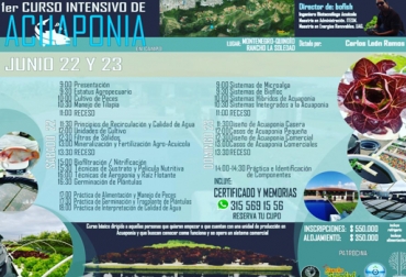 Este evento tiene como objetivo informar y enseñar todo acerca de este sistema que combina el trabajo de especies. Foto: Cortesia Acuaponía, hidroponía, aeroponía, sistema de producción sostenible de plantas y peces, acuicultura tradicional de cría, animales acuáticos, cultivo de plantas, medio ambiente interactivo, circulación de agua, agricultura de vanguardia, triplica la producción, trazabilidad, producto final, Bofish, CONtexto ganadero, ganaderos Colombia, noticias ganaderas Colombia