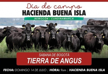 La finalidad de este encuentro es dar a conocer las bondades de las razas Angus y Brangus. Foto: Cortesía Día de campo, Asociación Angus & Brangus, Asoangusbrangus, agrexpo, Colombia, México, Estados Unidos, Paraguay, raza Hacienda Buena Isla, bondades de fertilidad, precocidad, calidad de carne, novillos, ganado, ceba, cebadores, CONtexto ganadero, ganaderos Colombia, noticias ganaderas Colombia