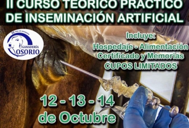 En el curso se explicará acerca de qué es la inseminación artificial en bovinos, sus ventajas, la introducción a esta técnica, los requerimientos. Foto: Cortesía Ganadería, ganadería colombia, Ganadería colombiana, CONtexto ganadero, noticias ganaderas, noticias ganaderas colombia, inseminación artificial, curso inseminación artificial, mejoramiento genético, ganaderos san alberto, San Alberto, Cesar, ganaderos, ganaderos colombia