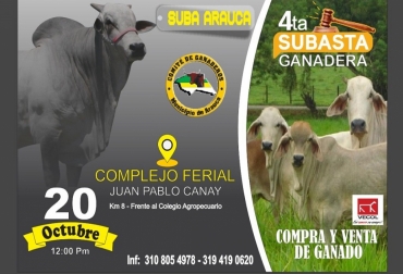 La actividad es organizada por el Comité de Ganaderos del municipio de Arauca. Foto: La Voz del Cinaruco. ganadería, ganadería colombia, noticias ganaderas, noticias ganaderas colombia, contexto ganadero, subasta arauca, cuarta subasta arauca, ganaderos de arauca, comité de ganaderos del municipio de arauca, jenny caropresse hoyos, subasta arauca octubre, complejo ferial juan pablo canay,