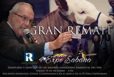 La . it es en ExpoSabana 2019, donde la raza simmental mostrará toda la genética elite. Foto: Cortesia Ganadería, ganadería colombia, Ganadería colombiana, CONtexto ganadero, noticias ganaderas, Noticias ganaderas colombiana, robot leche, robot ganadero, pezones, leche, exposabana 2019, Asosimmental, Simmental, genetica simmental, ganaderos, ganaderos colombia