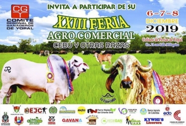 La Feria Agro Comercial Cebú y otras razas de Yopal se llevará a cabo del 6 al 8 de diciembre en el coliseo ferias de la ciudad. Foto: Cortesía. Feria ganadera de Yopal, comité regional de ganaderos de Yopal, ganaderos de Yo