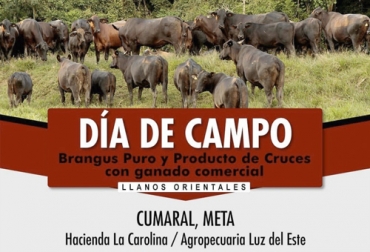Este evento es una antesala a la primera exposición del año que se realizará a final del mes en la Feria de Catama. Foto: Cortesía Ganadería, ganadería colombia, Ganadería colombiana, CONtexto ganadero, noticias ganaderas, noticias ganaderas colombia, asoangus, asobrangus, Brangus, bondades brangus, raza carnica, brangus raza carnica, carne especializada, día de campo brangus, Cumaral, ganaderos colombia, ganaderos