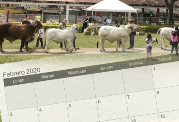 Agroshow 2020 en Tolima y la IV Expoterneros en Montería son los principales eventos que se realizarán en este febrero. Foto: ondasdeibague.com - icalendario.net Agroshow Pajonales 2020, IV Expoterneros 2020, Eventos ganaderos, ferias ganaderas, ferias ganaderas Colombia, Eventos ganaderos febrero 2020, subastas, inicio 2020, febrero 2020, Venta de ganado, subastas ganaderas, bovinos, vacas, eventos bovinos Colombia, CONtexto ganadero, ganaderos Colombia, noticias ganaderas Colombia