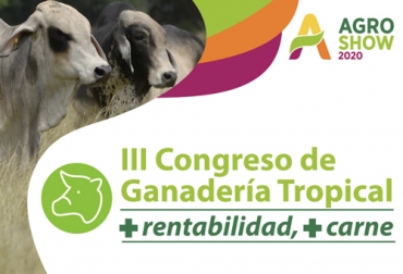 Hace 2 años no se realizaba este encuentro, que estará centrado en los resultados del proyecto + Carne, + Rentabilidad. Foto: facebook.com/TercerCongresodeGanaderiaTropical Tercer Congreso de Ganadería Tropical, eventos ganaderos, III Congreso Ganadería Tropical, eventos académicos ganaderos, Colombia Innovación del campo, innovación sector agropecuario, Agroshow 2020, Agroshow Pajonales, Agroshow Pajonales 2020, noticias Agroshow Pajonales, Agroshow Pajonales colombia, CONtexto ganadero, ganaderos colombia, noticias ganaderas colombia
