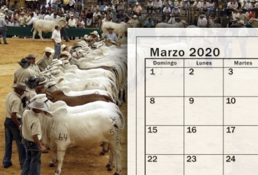 Este mes se destacan ferias ganaderas como la del Ariari en Meta y remates como el de la Hacienda García Abajo en Antioquia. Foto: elcolombiano.com - michelzbinden.com Remates marzo 2020, remates ganaderos 2020, Eventos ganaderos, ferias ganaderas, ferias ganaderas Colombia, Eventos ganaderos marzo 2020, subastas, inicio 2020, marzo 2020, Venta de ganado, subastas ganaderas, bovinos, vacas, eventos bovinos Colombia, CONtexto ganadero, ganaderos Colombia, noticias ganaderas Colombia