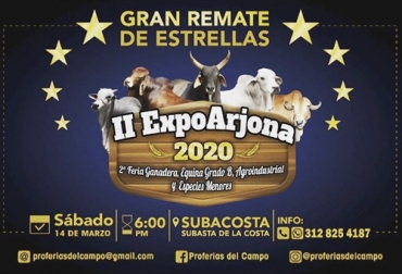 Una de las actividades de la II ExpoArjona 2020 es el Gran Remate de Estrellas organizado por Subacosta. Foto: facebook.com/proferiasdelcampo ExpoArjona 2020, feria ganadera Arjona Bolívar 2020, feria Bolívar 2020, feria Bolívar, ferias, II ExpoArjona 2020, II ExpoArjona, Ferias y fiestas ganaderas, Ferias Ganaderas, feria ganadera en norte de Bolívar, feria ganadera Arjona, Ganadería, ganadería Bolívar, Gobernación de Bolívar, noticias ganaderas, noticias ganaderas colombia, CONtexto ganadero
