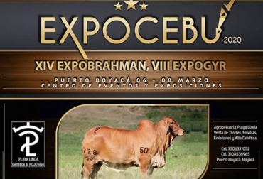 La Expocebu 2020 de Puerto Boyacá es un evento esperado por los ganaderos del Magdalena medio. Foto: facebook.com/magdalenacentronoticias Exposición ganadera Puerto Boyacá, Exposición ganadera Puerto Boyacá 2020, XIV Exposición Ganado Cebú Puro Puerto Boyacá, Expobrahman Puerto Boyacá, feria ganadera puerto boyacá, proyecto Coliseo Puerto Boyacá, coliseo de ferias de Puerto Boyacá, VIII Expogyr Puerto Boyacá, Asociación Regional de Ganaderos de Puerto Boyacá, Asoregan, inversión para coliseo de ferias Puerto Boyacá, CONtexto ganadero, ganaderos colombia, noticias ganaderas colombia