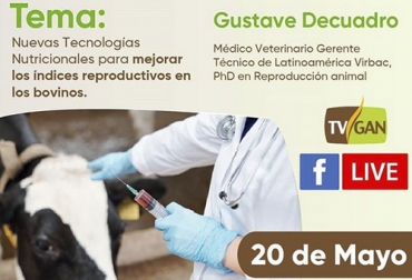 Conéctese todos los miércoles y jueves a las 6 p. m. en las charlas por Facebook Live de TVGAN y Fedegán. Foto: TVGAN Nuevas tecnologías nutricionales para mejorar índices reproductivos en bovinos, micronutrición inyectable en ganado bovino, nutrición de ganado, nutrición reproducción, facebook live, capacitación, capacitación en línea, capacitación online, fedegan, Colombia, Fedegán capacitación, capacitación Facebook Live, formación ganaderos, capacitación ganaderos, capacitación ganadería, coronavirus, COVID-19, cuarentena, Ganadería, ganadería colombia, noticias ganaderas, noticias ganaderas colombia, CONtexto ganadero