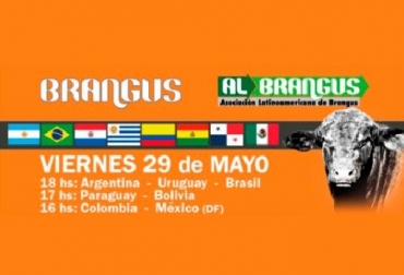 Expertos de diversos países hablarán de la producción de ganado Brangus en Suramérica. Foto: Cortesía. Capacítese sobre cría de ganado Brangus, impacto de la genética, adaptación de madres en Argentina, cría de Brangus, esquema productivo en Brasil, carne de exportación de Uruguay, desarrollo pecuario, transferencia de conocimiento, noticias de ganadería colombiana, CONtexto ganadero.