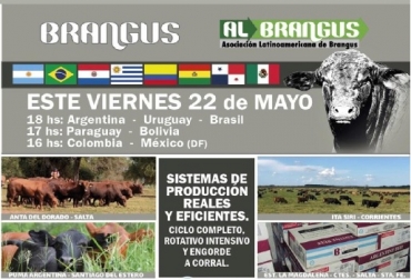 Martín García Fernández, vicepresidente de la Asociación Argentina de Brangus y moderador del evento, adelantó que se planea realizar este evento con experiencias de diferentes países de Latinoamérica, entre los cuales se encuentra Colombia. Brangus, seminario, AlBrangus, Sistemas de producción reales y eficientes, ganadería, ganadería colombia, noticias ganaderas, noticias ganaderas de Argentina, CONtexto ganadero