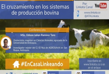 Esta es la primera charla virtual del día. El panel de la raza Guzerá de Asocebú será en la tarde y la charla de Corteva, en la noche. Foto: Linkata Charla virtual ganadería, capacitación, capacitación en línea, capacitación online, capacitación Facebook Live, formación ganaderos, capacitación ganaderos, capacitación ganadería, charlas jueves 4 de junio de 2020, panel de Guzerá, cruzamiento en bovinos, manejo de praderas tropicales, coronavirus, COVID-19, cuarentena, Ganadería, ganadería colombia, noticias ganaderas, noticias ganaderas colombia, CONtexto ganadero