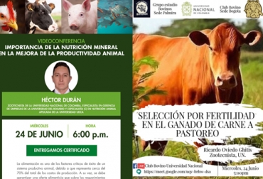 Estas son 2 de las charlas que tendrán lugar este miércoles 24 de junio. Foto: Cortesía Charla virtual ganadería, capacitación, capacitación en línea, capacitación online, capacitación Facebook Live, formación ganaderos, capacitación ganaderos, capacitación ganadería, charlas miércoles 24 de junio de 2020, coronavirus, coronavirus Colombia, COVID-19, cuarentena, Ganadería, ganadería colombia, noticias ganaderas, noticias ganaderas colombia, CONtexto ganadero