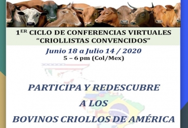 El primer ciclo de conferencias de 'Criollistas convencidos' se desarrollará en torno a las razas bovinas autóctonas de América. Foto: Cortesía Criollistas convencidos, eventos ganadería colombia, charlas virtuales ganadería Colombia, eventos de ganadería colombiana, Razas criollas, razas bovinas criollas, bovinos criollos, bovinos criollos Colombia, coronavirus, coronavirus Colombia, COVID-19, cuarentena, Ganadería, ganadería colombia, noticias ganaderas, noticias ganaderas colombia, CONtexto ganadero