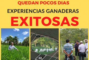 Usted podría implementar en su propia finca las enseñanzas de estos cinco expertos ganaderos. Foto: Cortesía Experiencias exitosas en ganadería, Serie Maestros de la ganadería, Nutrición y alimentación bovina 2020, alimentación bovina, nutrición ganado bovino, alimentos para ganado bovino, alimentos para las vacas, periódico El agro, éxito en ganadería, eventos periódico El Agro, eventos Escuela del Agro, Escuela del Agro Colombia, coronavirus, COVID-19, cuarentena, Ganadería, ganadería colombia, noticias ganaderas, noticias ganaderas colombia, CONtexto ganadero