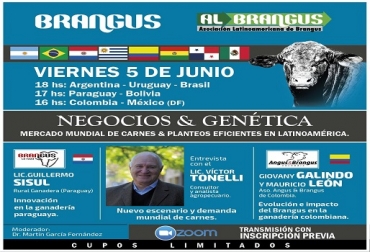 Tres temas de gran interés para la ganadería Brangus serán los que tratará el seminario virtual de la Asociación Latinoamericana de Brangus. Foto. Cortesía. Conozca sobre Genética y negocios con Brangus, desarrollo genético, negocios, mercado, escenario del Brangus, demanda mundial de carnes, Brangus de Argentina, Brangus de Paraguay, multiplicación de Brangus en Colombia, impacto en Colombia, mercado cárnico, noticias de ganadería colombiana, CONtexto ganadero.