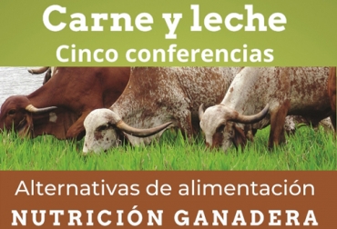 En la mañana de este viernes 24 de julio, cinco expertos hablarán sobre distintos aspectos de la alimentación y nutrición bovina. Foto: Cortesía Nutrición y alimentación bovina 2020, alimentación bovina, nutrición ganado bovino, alimentos para ganado bovino, alimentos para las vacas, periódico El agro, éxito en ganadería, eventos periódico El Agro, eventos Escuela del Agro, Escuela del Agro Colombia, coronavirus, coronavirus Colombia, COVID-19, cuarentena, Ganadería, ganadería colombia, noticias ganaderas, noticias ganaderas colombia, CONtexto ganadero
