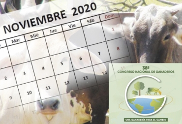 El Congreso Nacional de Ganaderos, el evento más importante del sector, tendrá lugar este mes, los días 25, 26 y 27 de noviembre. Foto: kapitalstereo.com - 30calendario.com - Fedegán Eventos ganaderos noviembre 2020, 38 congreso ganaderos, Eventos ganaderos 2020, remates de ganado 2020, Ferias Ganaderas, ferias ganaderas colombia, subastas, inicio 2020, octubre 2020, Venta de ganado, subastas ganaderas, bovinos, vacas, eventos bovinos Colombia, ganado bovino, ganadería bovina, Ganadería, ganadería colombia, noticias ganaderas, noticias ganaderas colombia, CONtexto ganadero, contextoganadero