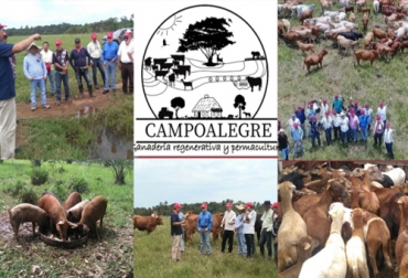 Durante la cuarentena, Escuela del Agro ha convocado a los mejores expertos nacionales para aleccionar sobre diferentes temas del sector agropecuario. Foto: Cortesía Ganadería regenerativa 2020, ganaderia regenerativa youtube, ganaderia regenerativa feliz, ganaderia regenerativa en argentina, ganaderia regenerativa eficiente, curso ganaderia regenerativa, ganaderia regenerativa en mexico, ganaderia regenerativa libros, pastoreo regenerativo, periódico El agro, éxito en ganadería, eventos periódico El Agro, eventos Escuela del Agro, Escuela del Agro Colombia, permacultura, ganadería permacultura, ganado bovino, ganadería bovina, Ganadería, ganadería colombia, noticias ga