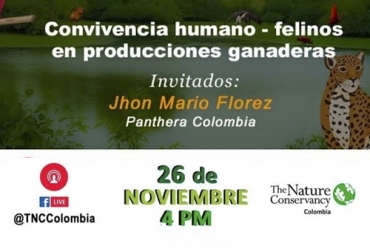 Antes de seguir conectado al Congreso Nacional de Ganaderos, usted puede hacer parte de este conversatorio. Foto: Cortesía Conversatorio felinos ganadería, felinos ganadería, felinos ganadería Colombia, The Nature Conservancy, felinos magdalena medio, felinos, ataque felinos, ataque felinos magdalena medio, ataque felinos a ganado, autoridades ambientales, ganaderos Magdalena Medio, ganaderos, ganaderos colombia, ganado, bovinos, ganado bovino, Ganadería, ganadería colombia, noticias ganaderas, noticias ganaderas colombia, CONtexto ganadero, contextoganadero