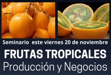 Con este nuevo seminario, usted podrá aprender sobre el cultivo y la comercialización de frutas que se dan en regiones de clima cálido de nuestro país. Foto: Cortesía Frutas exportación Colombia, mango, maracuyá, lulo, granadilla, frutas tropicales, frutas tropicales Colombia, frutas de exportación, frutas colombianas de exportación, seminario frutas para exportación, Escuela del Agro, periódico El agro, eventos periódico El Agro, eventos Escuela del Agro, Escuela del Agro Colombia, capacitación virtual, ganado bovino, Ganadería, ganadería colombia, noticias ganaderas, noticias ganaderas colombia, CONtexto ganadero, contextoganadero