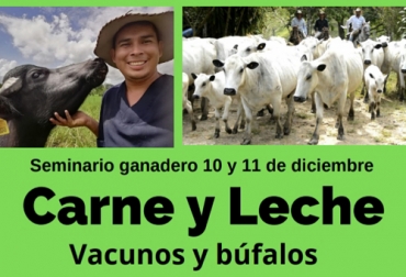 El seminario se realizará en la mañana de este jueves y viernes con la participación de ocho expertos nacionales y dos internacionales. Foto: Cortesía Seminario ganadero Carne y leche en bovinos y búfalos, producción de carne bovina, producción de leche bovina, bovinos, Búfalos, seminario ganadería, seminario ganadero diciembre 2020, seminario ganadero 2020, periódico El agro, éxito en ganadería, eventos periódico El Agro, eventos Escuela del Agro, Escuela del Agro Colombia, ganaderos, ganaderos colombia, ganado, ganado bovino, Ganadería, ganadería colombia, noticias ganaderas, noticias ganaderas colombia, CONtexto ganadero, contextoganadero