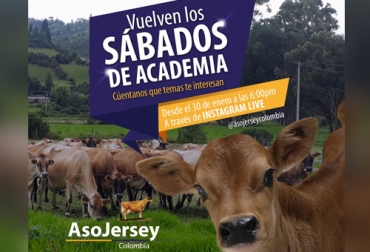 Las jornadas de capacitación de los sábados vuelven este 30 de enero con una charla sobre las actividades de la asociación este 2021. Foto: Asojersey Colombia Asojersey 2021, Control lechero Asojersey, tardes ganaderas Asojersey, clases sábados Asojersey, Asojersey 2020, jóvenes Asojersey, Lácteos Jersey, proyectos Asojersey, actividades Asojersey, Fedegán Asojersey, Asociación Colombia Jersey, Charlas Asojersey 2021, ganaderos, ganaderos colombia, ganado, bovinos, ganado bovino, Ganadería, ganadería colombia, noticias ganaderas, noticias ganaderas colombia, CONtexto ganadero, contextoganadero