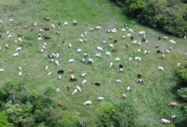 Esta es una de las fincas que trabaja con ganadería regenerativa y que usted podrá conocer haciendo parte de esta gira. Foto: Cortesía Gira ganadería regenerativa, gira ganadera, gira ganadera 2021, gira ganadera Colombia, gira ganadera Meta, ganadería regenerativa, ganadería regenerativa 2021, ganadería regenerativa Colombia, gira Meta 2021, gira junio 2021, ganado bovino, ganadería bovina, ganaderos, ganaderos colombia, ganado, vacas, vacas Colombia, bovinos, Ganadería, ganadería colombia, noticias ganaderas, noticias ganaderas colombia, CONtexto ganadero, contextoganadero