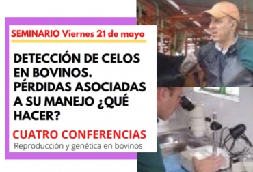 Este seminario tendrá lugar el viernes 21 de mayo, en tanto que la charla sobre nutrigenómica en ganadería se hará hoy jueves 20 a las 6 pm. Foto: Cortesía Seminario detección del celo, errores en la detección del celo, detección de estros, fertilidad de la vaca, charlas ganaderas mayo 2021, detección estros, charla nutrigenómica, seminario Escuela del Agro, charla club bovino universidad nacional, ganaderos, ganaderos colombia, ganado, vacas, vacas Colombia, bovinos, ganado bovino, Ganadería, ganadería colombia, noticias ganaderas, noticias ganaderas colombia, CONtexto ganadero, contextoganadero