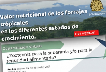Estas charlas tendrán lugar el martes 22 y el jueves 24 de junio en horas de la tarde, y están dirigidas a ganaderos y profesionales del sector agropecuario. Foto: Cortesía Eventos ganaderos, charlas académicas, charlas académicas ganaderas, charlas junio 2021, valor nutricional de los forrajes tropicales, zootecnia, Soberanía alimentaria, Seguridad Alimentaria, Fundación Capitán Yunyi, charlas ganaderas, charlas, Colombia, charlas ganadería, ganado bovino, ganadería bovina, ganaderos, ganaderos colombia, ganado, vacas, vacas Colombia, bovinos, Ganadería, ganadería colombia, noticias ganaderas, noticias ganaderas colombia, CONtexto ganadero, contextoganadero