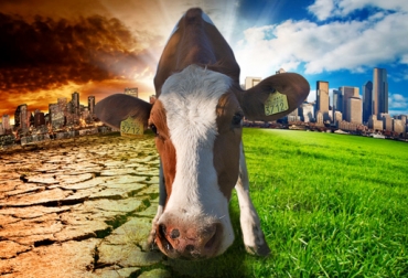 La sesión de este viernes 23 de julio organizada por Escuela del Agro girará en torno al cambio climático y la ganadería. Foto: NoticiasporelMundo Ganadería y cambio climático, ganadería afectada por el cambio climático, charlas ganaderas julio 2021, eventos ganaderos, Escuela del Agro, seminario Escuela del Agro, cambio climático, producción ganadera, ganadería clima, clima, ganado bovino, ganadería bovina, ganaderos, ganaderos colombia, ganado, vacas, vacas Colombia, bovinos, Ganadería, ganadería colombia, noticias ganaderas, noticias ganaderas colombia, CONtexto ganadero, contextoganadero