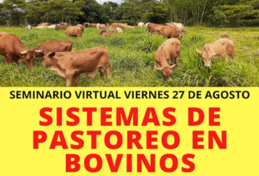 La capacitación se transmitirá de forma virtual, de manera que usted puede asistir sin trasladarse de su casa, oficina o finca. Foto: Cortesía sistemas de pastoreo, sistemas de pastoreo en ganadería, sistemas de pastoreo en ganadería sostenible, alimentación bovina, Escuela del Agro, seminario agosto 2021, PRV, Voisin, alterno, continuo, pastoreo rotacional, regenerativo, ganado bovino, ganadería bovina, carne, leche, ganaderos, ganaderos colombia, ganado, vacas, vacas Colombia, bovinos, Ganadería, ganadería colombia, noticias ganaderas, noticias ganaderas colombia, CONtexto ganadero, contextoganadero