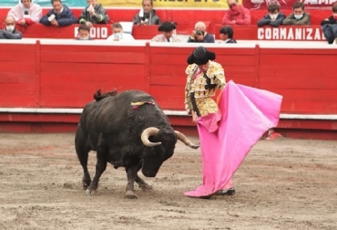 De Justo y "Despistado". Foto: Camilo Díaz Toros, toros de lidia, Manizales 2022, Plaza Monumental, toros de Las Ventas, anovillados, Cristóbal Pardo, Emilio de Justo, Ginés Marín, CONterxto ganadero