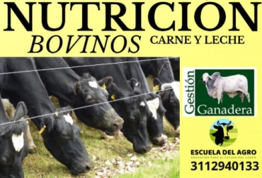Asista a este seminario de manera virtual y aprenda cómo hacer mezclas para alimentar a sus animales con los insumos que tiene en su región. Foto: Cortesía Seminario nutrición en bovinos de carne y leche, Nutrición en bovinos, seminario nutrición bovinos, congreso nutrición bovinos 2022, congreso nutrición y alimentación bovinos carne y leche, Eventos ganaderos enero 2022, ganado bovino, ganadería bovina, carne, leche, ganaderos, ganaderos colombia, ganado, vacas, vacas Colombia, bovinos, Ganadería, ganadería colombia, noticias ganaderas, noticias ganaderas colombia, CONtexto ganadero, contextoganadero