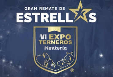 Los ganaderos que no están presentes en la VI Expoterneros Montería, se preinscribieron para participar de forma virtual en el Gran Remate de Estrellas que clausurará el encuentro. Foto: instagram.com/fundhorizontes/ Expoterneros Montería 2022, VI Expoterneros en Montería, Expoterneros Montería, Feria Expoterneros Montería, Concurso haciendo patria, Venta de ganado, exposición de ganado en Montería, juzgamiento de ganado en Montería, remate de ganado en Montería, FundHorizontes, Fundación Horizonte sin Fronteras, Subastar, ganado bovino, ganadería bovina, carne, leche, ganaderos, ganaderos colombia, ganado, vacas, vacas Colombia, bovinos, Ganadería, ganadería colombia, noticias ganaderas, noticias ganaderas colombia, CO