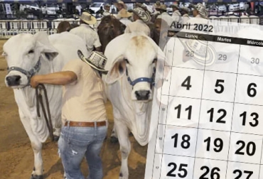 La feria ganadera en el marco de la Agroferia 2022 es el encuentro presencial más grande en abril. Foto: elpilon.com.co - calendarpedia.com eventos ganaderos abril 2022